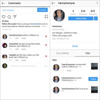 Instagram Insights on Fake-Accounts