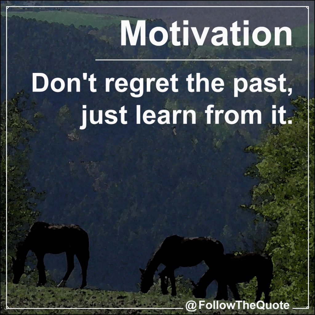 Don't regret the past, just learn from it.