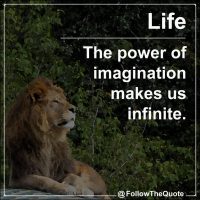 The power of imagination makes us infinite.