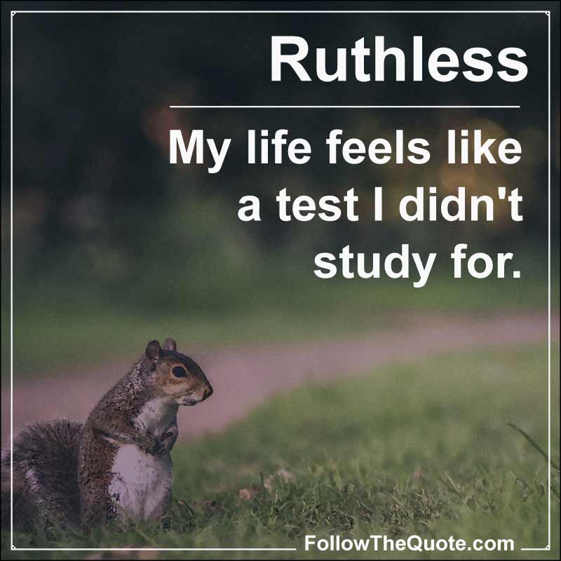 Slogan: My life feels like a test I didn't study for.